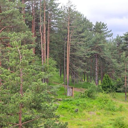 Zlatibor Holiday, Vila Leonardo VI Exterior photo