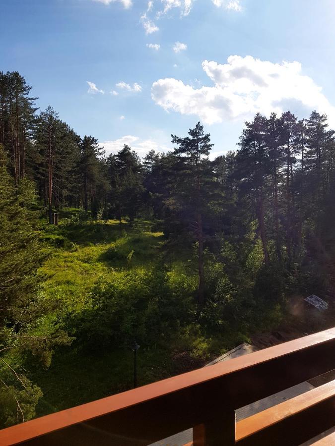 Zlatibor Holiday, Vila Leonardo VI Exterior photo